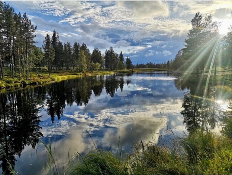 Kelolampi kesällä Saariselällä