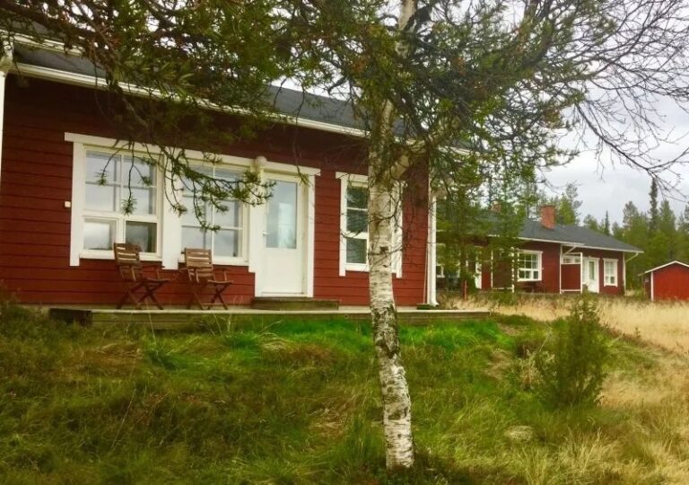 Lapinkulta kesällä ulkoa