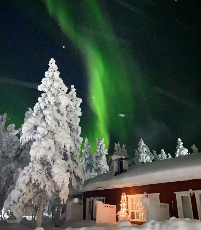 The Northern Lights and snow-covered spruce trees on a winter’s night in Saariselkä
