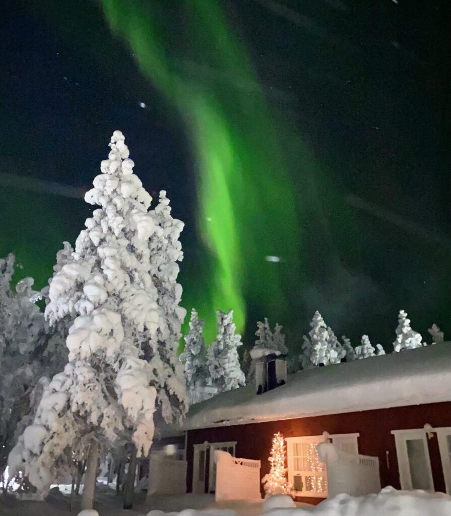 Revontulet ja tykkylumiset kuuset talviyönä Saariselällä